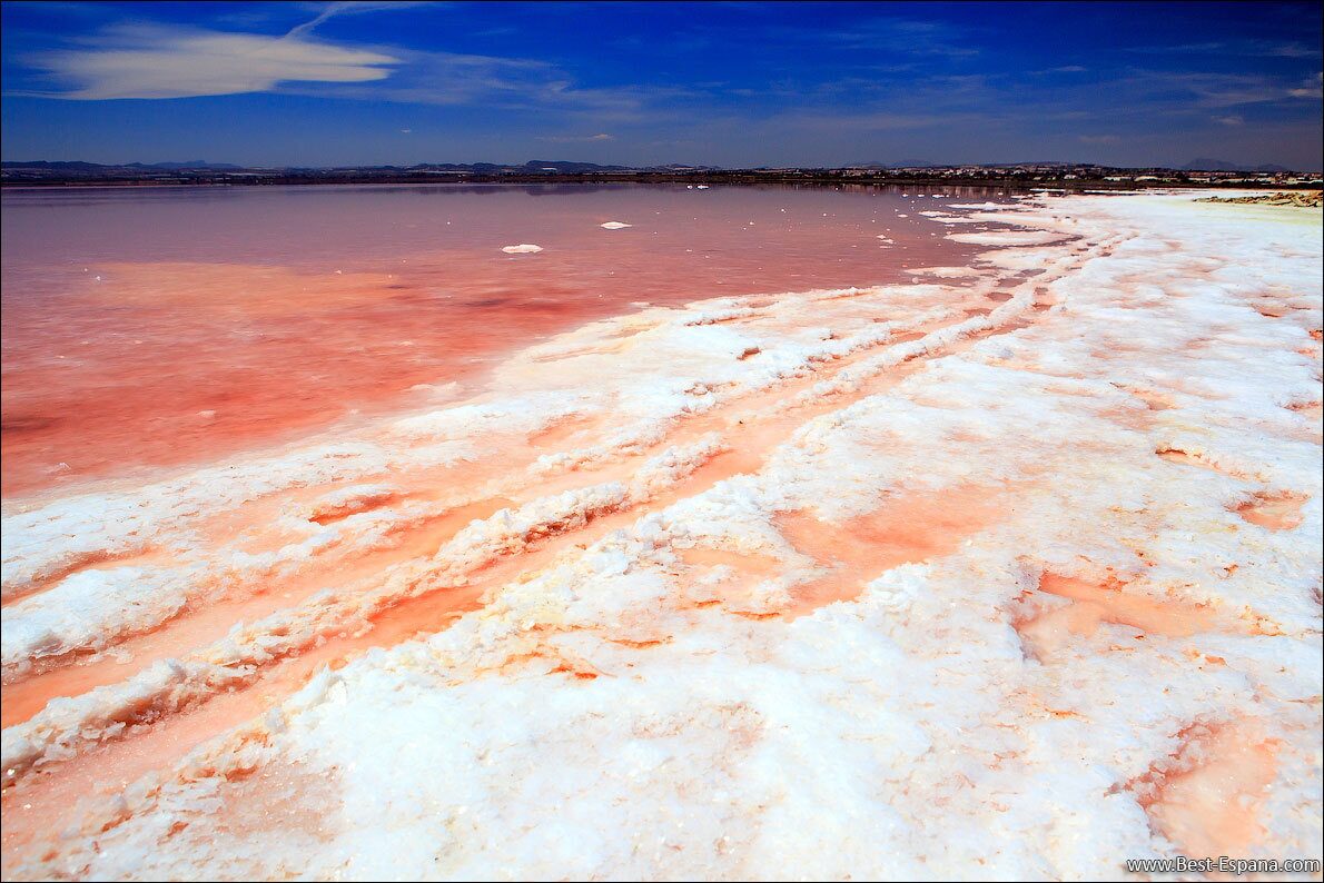 Розовое соленое озеро в Торревьеха